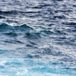 Group logo of Water Group